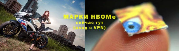 стаф Алзамай