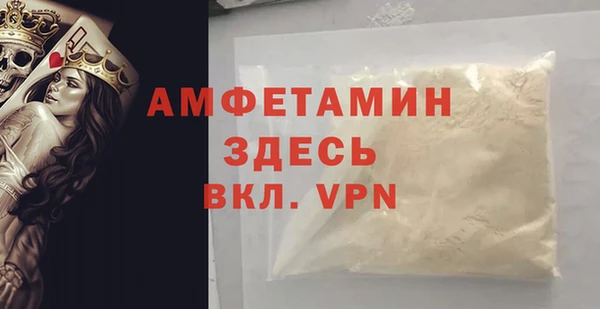 стаф Алзамай