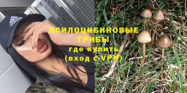 стаф Алзамай