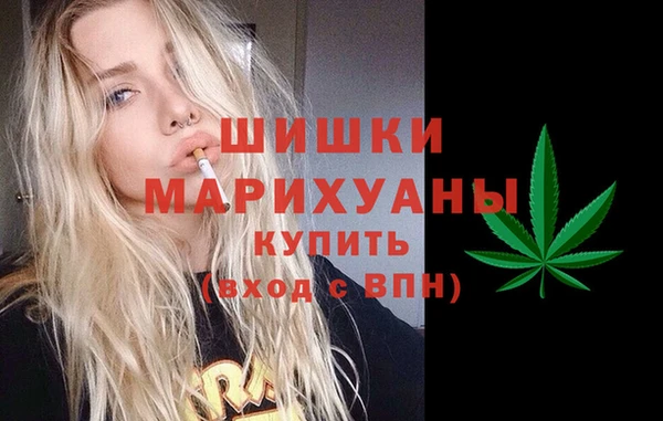 шишки Алексеевка