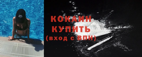 стаф Алзамай