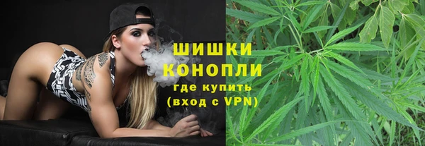 шишки Алексеевка